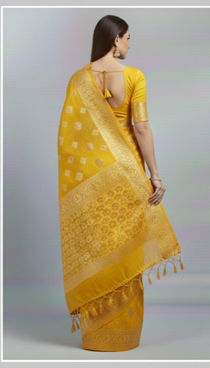 Minimalistic Organza Saree With Pearl Work